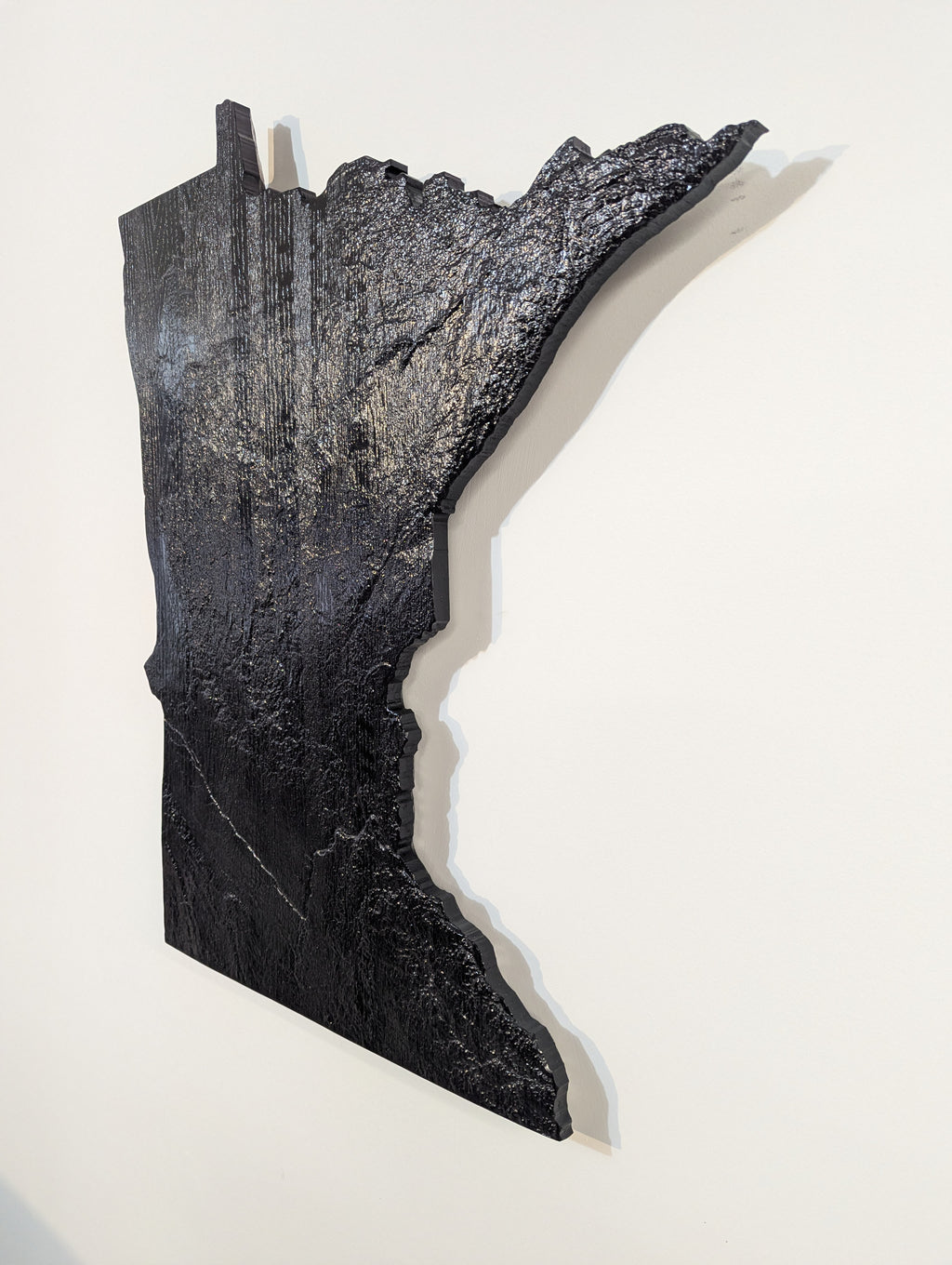 Minnesota Topographic Map - Black