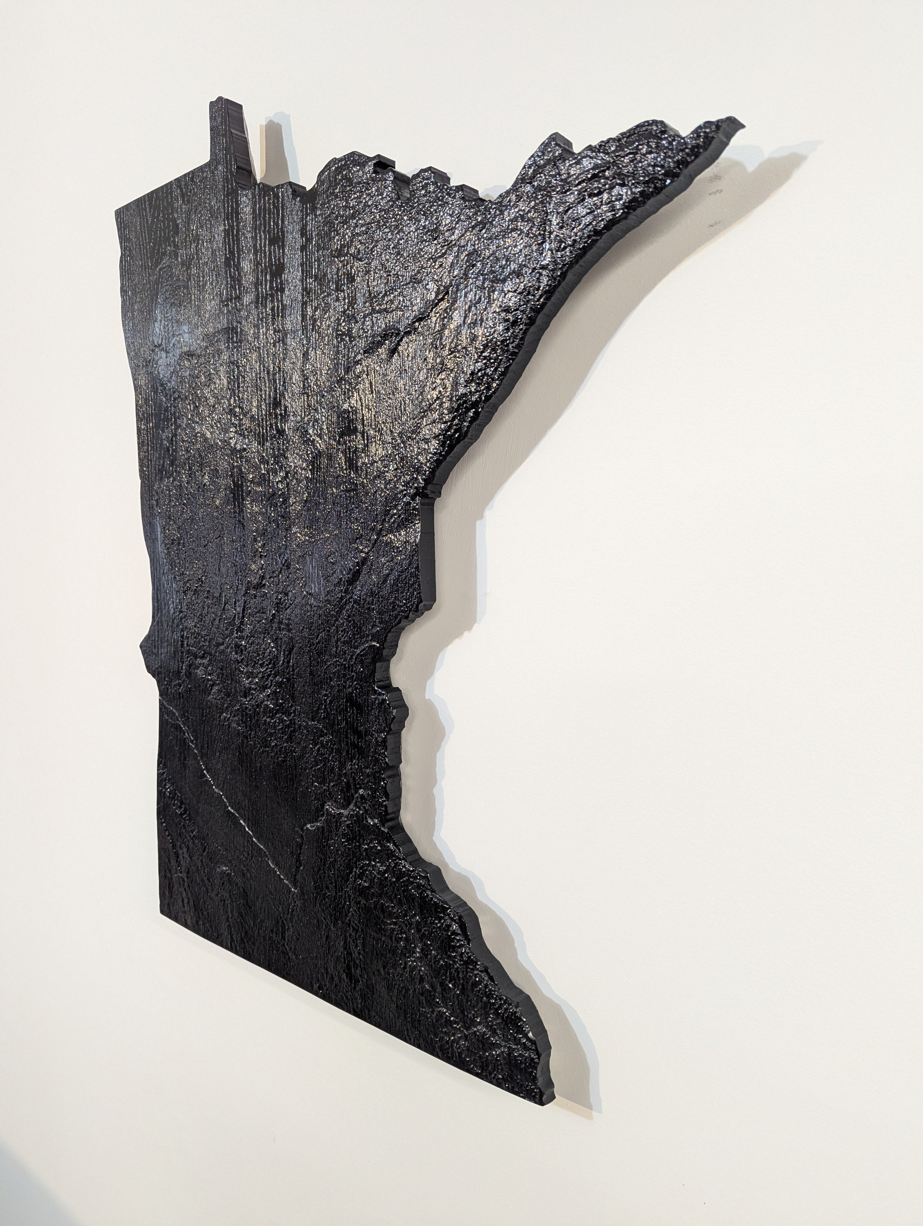 Minnesota Topographic Map - Black