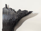 Minnesota Topographic Map - Black