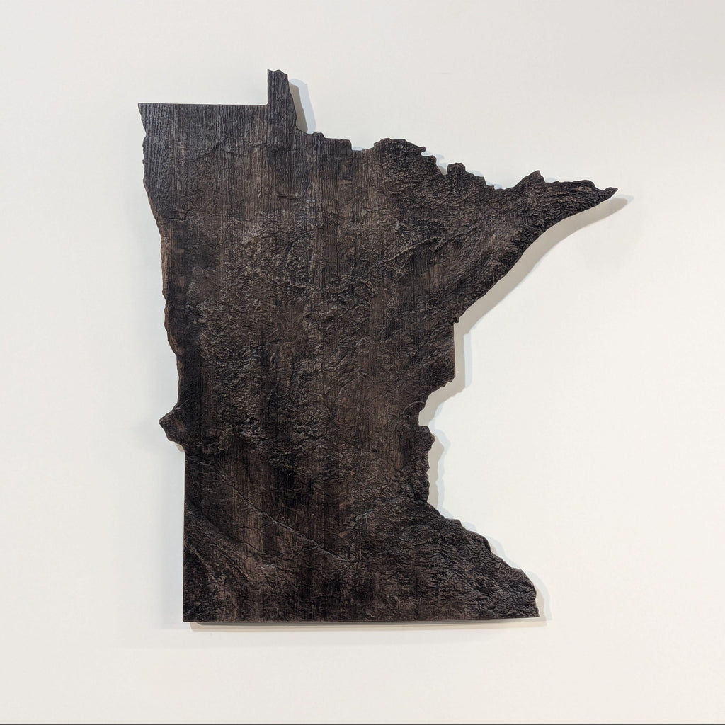 Minnesota Topographic Map - Brown
