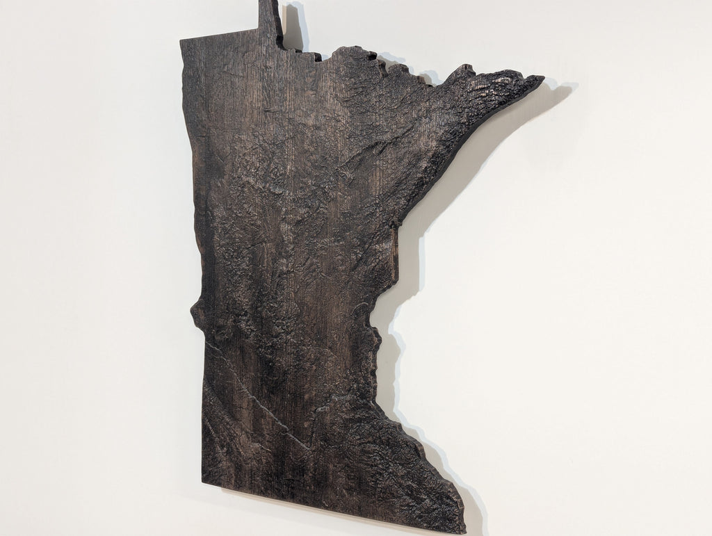 Minnesota Topographic Map - Brown