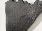 Minnesota Topographic Map - Brown Large